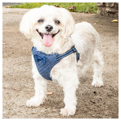 Pet Life ®  'Flam-Bowyant' Mesh Reversed and Adjustable Dog Harness