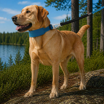 Pet Life ® 'Geo-prene' 2-in-1 Shock Absorbing Neoprene Padded Reflective Dog Leash and Collar