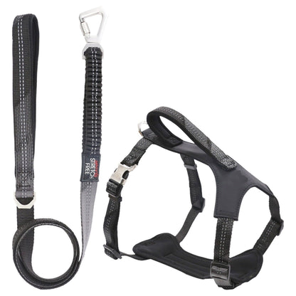 Pet Life ® 'Geo-prene' 2-in-1 Shock Absorbing Neoprene Padded Reflective Dog Leash and Harness