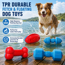 Pet Life ® 'Gridiron Football' Durable Chew and Fetch TPR Waterproof Floating Dog Toy