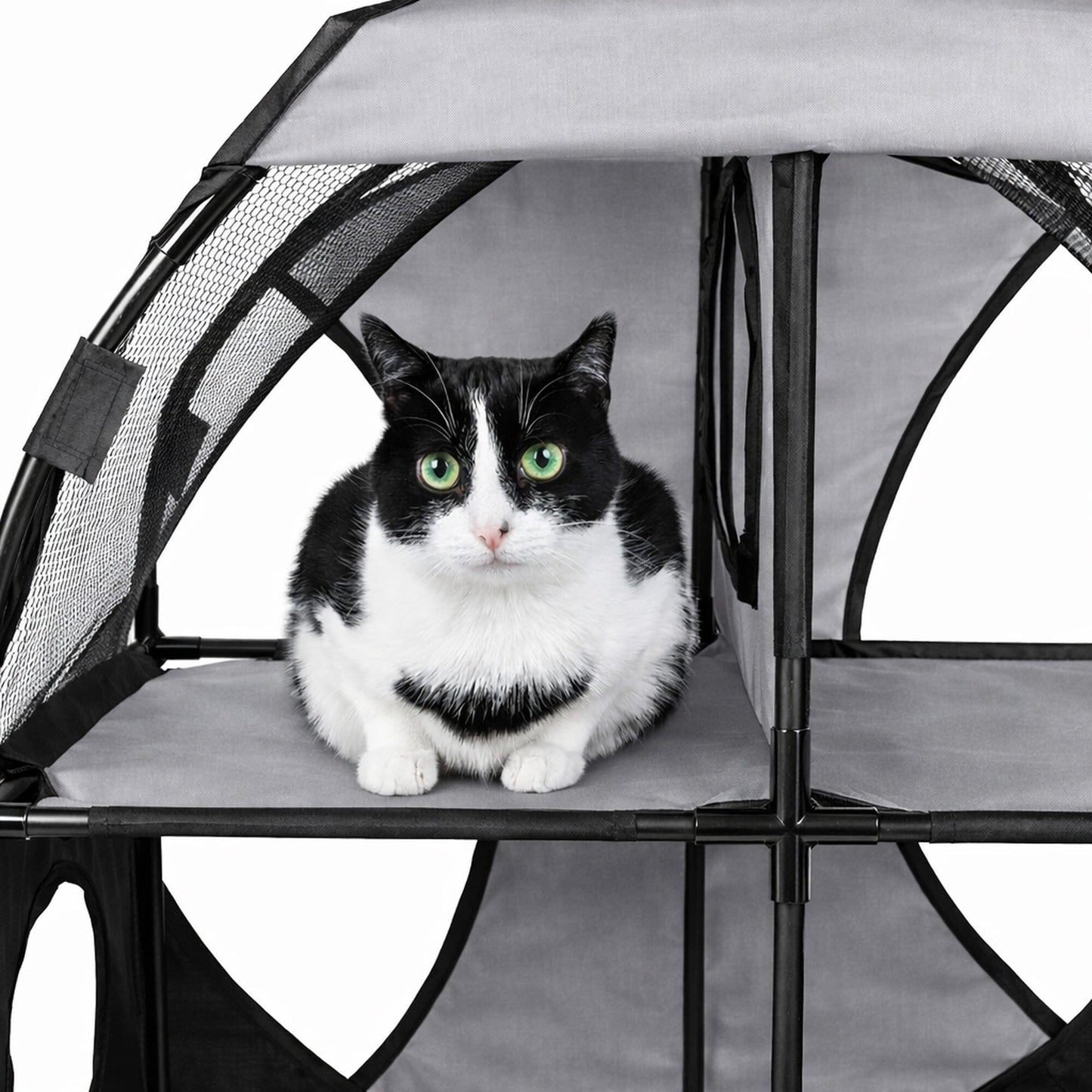 Pet Life ® 'Kitty-Play' Collapsible Travel Interactive Kitty Cat Tree Maze House Lounger Tunnel Lounge