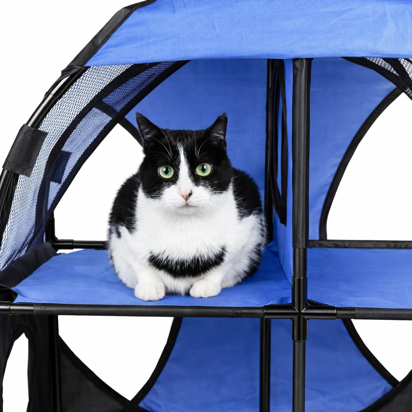 Pet Life ® 'Kitty-Play' Collapsible Travel Interactive Kitty Cat Tree Maze House Lounger Tunnel Lounge