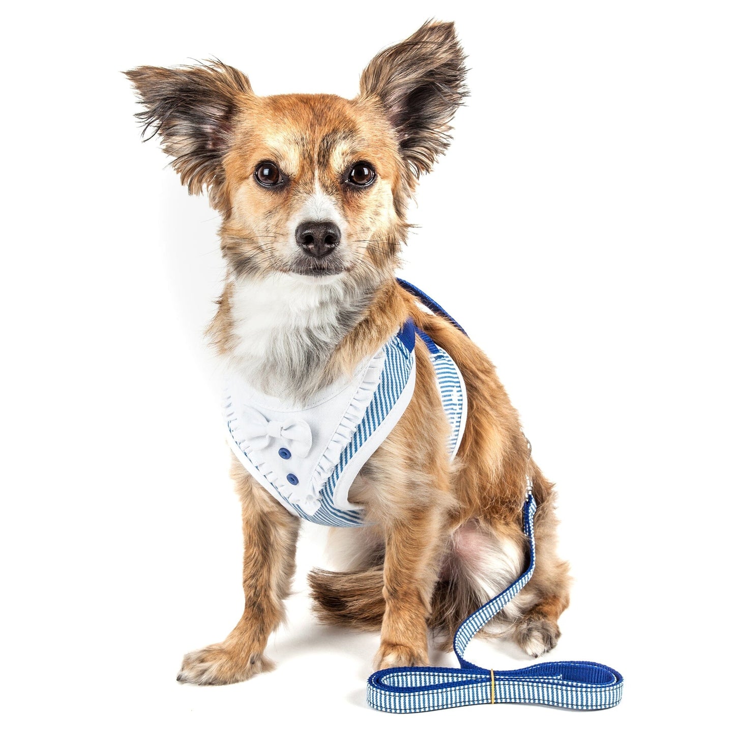 Pet Life ® Luxe 'Spawling' 2-In-1 Adjustable Fashion Dog Harness and Leash