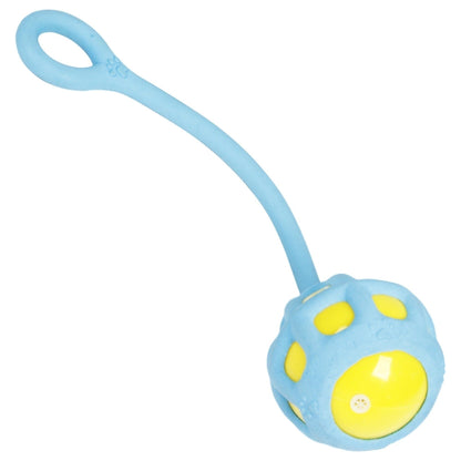 Pet Life ® 'Tug-O-Warp' Fetching Tugging and Chew Squeaking TPR Dog Toy