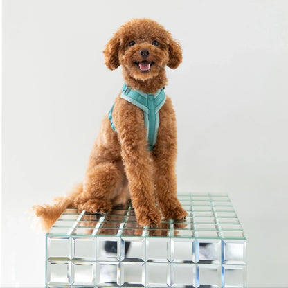 Magenta - Velvet Dog Harness