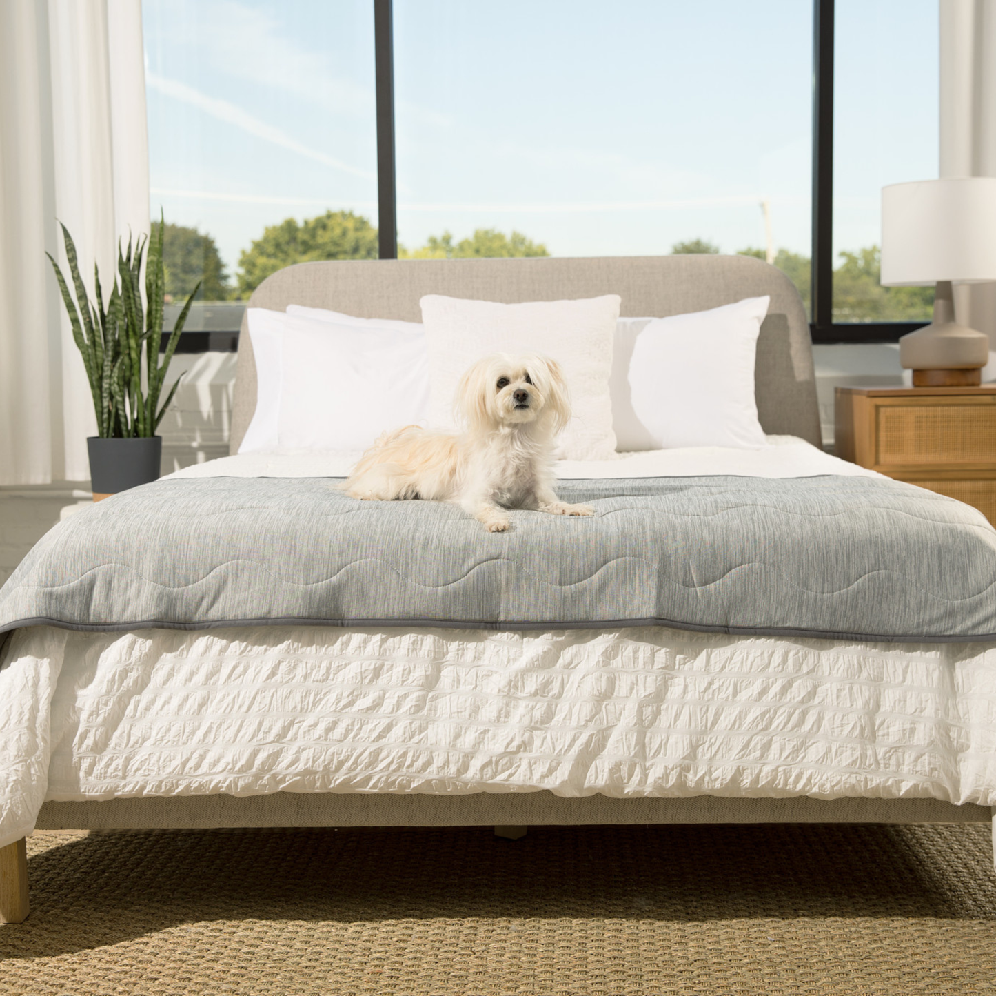 PupChill™ Cooling Waterproof Runner Blanket - Arctic Grey