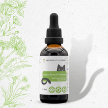 Lion's Blood Pressure Herbal Blend for Cats