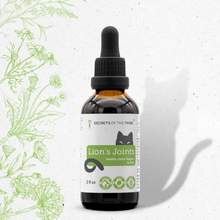 Lion's Joints Herbal Blend for Cats
