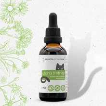 Lion's Kidney Herbal Blend for Cats