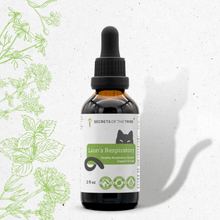 Lion's Respiratory Herbal Blend for Cats