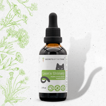 Lion's Urinary Herbal Blend for Cats