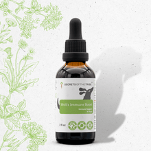 Wolf's Immune Boost Herbal Blend for Dogs