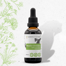 Wolf's Urinary Herbal Blend for Dogs