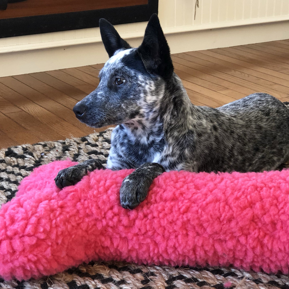HuggleCause™, Living Beyond Breast Cancer, HuggleFleece® Pink Bones