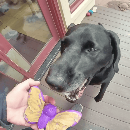 Butterfly Nylon Chew & Enrichment Toy | 2-in-1 for Aggressive Chewers | SodaPup