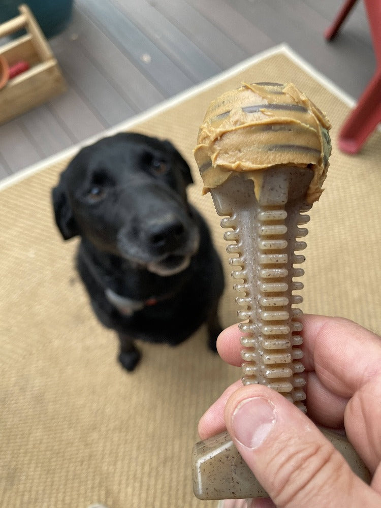 Durable Honey Bone Dental Tower nylon dog chew toy for aggressive chewers, made by SodaPup, featuring a brown, textured design.