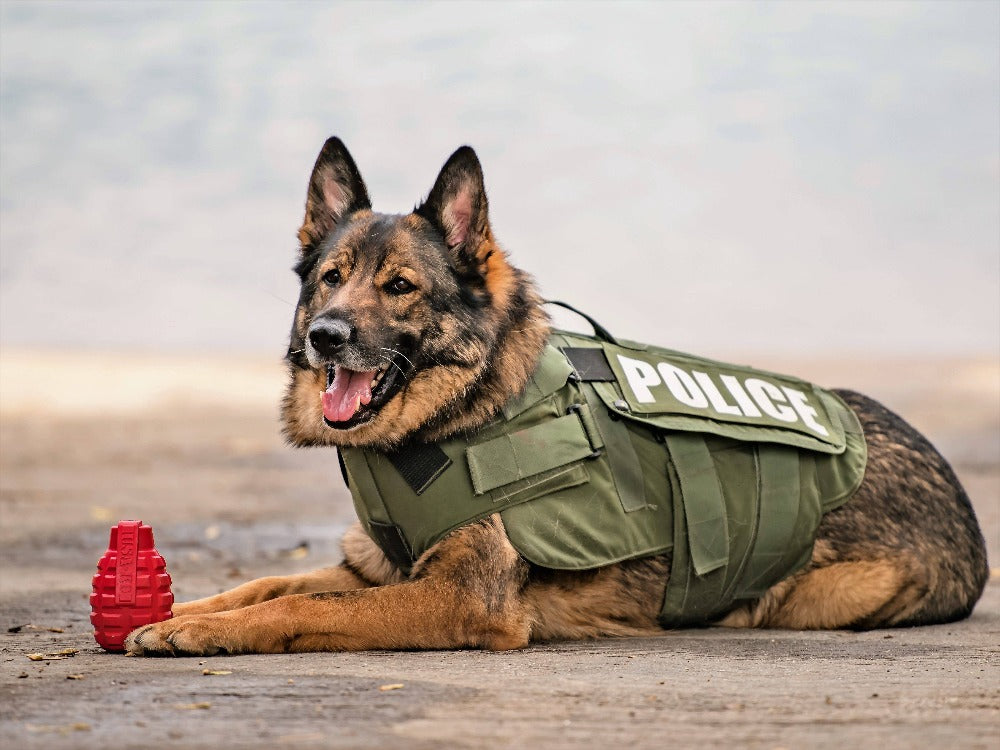 Grenade Shaped eDispenser Durable Dog Chew Toy & Treat Dispenser - Army Green