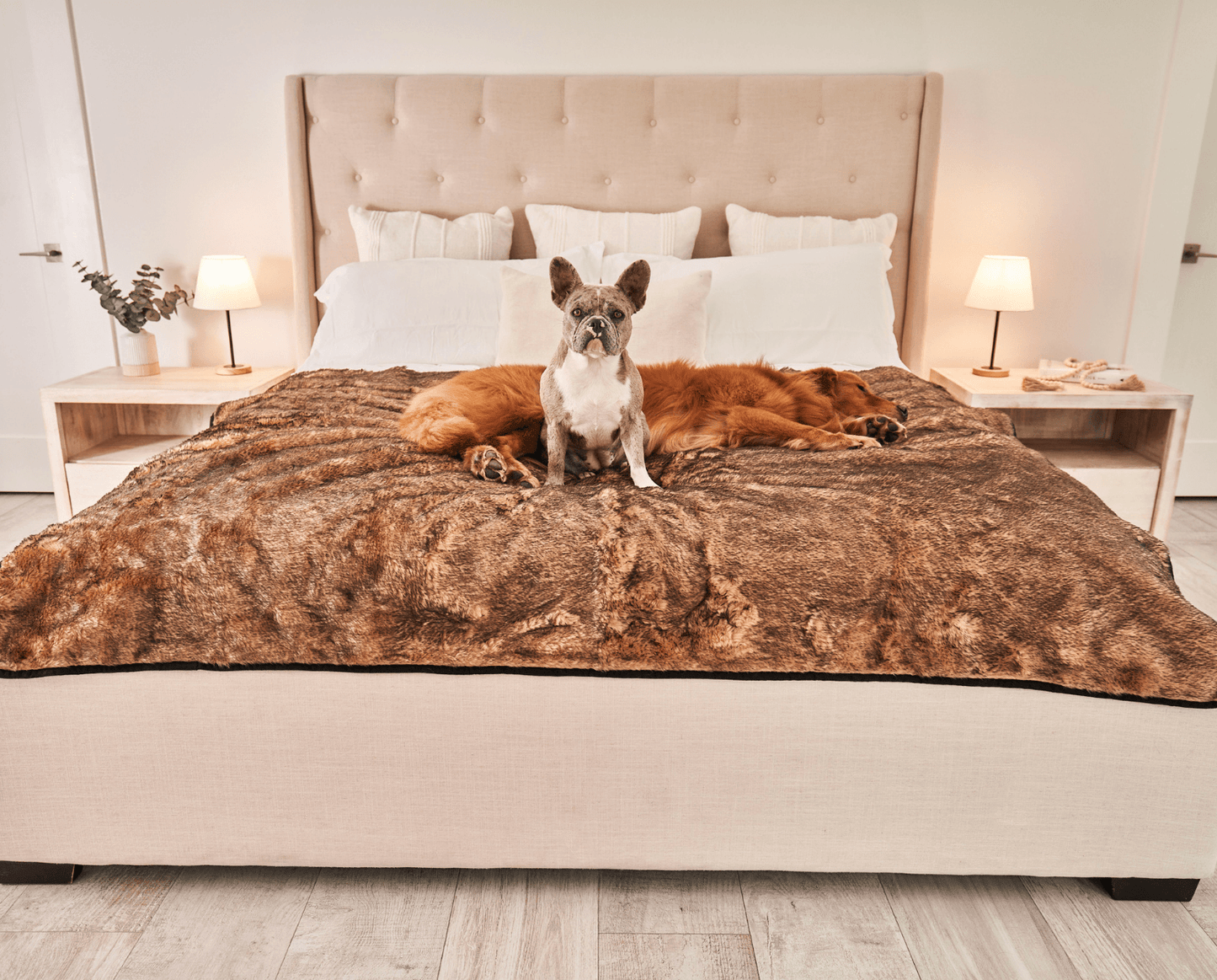 PupProtector™ Summer Short Fur Waterproof Throw Blanket - Sable Tan