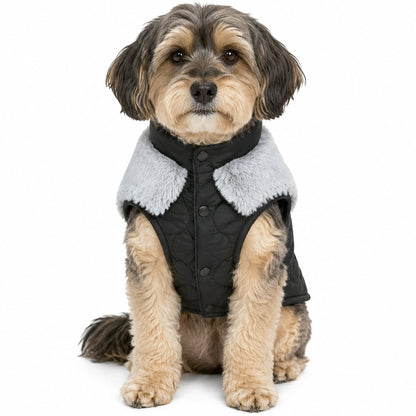 Touchdog 'Furrost-Bite' Fur and Fleece Designer Fashion Dog Jacket