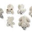 Mammoth Pet Products Lambswool Plush Dog Toys