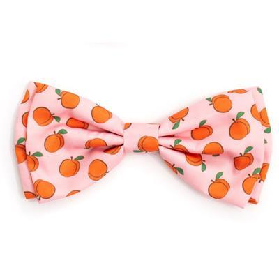 Peachy Keen Pet Bow Tie.