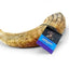 Icelandic  Lamb Horn W- Marrow - 36-Piece Display Loose (Sized Approx. 4-5In)