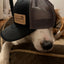 Bark & Beyond Leather Patch Logo Trucker Hat.