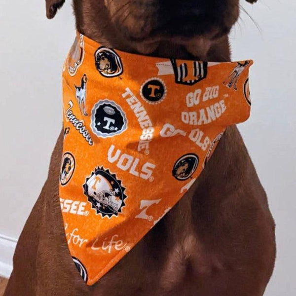 Tennessee Titans Dog Bandana Tennessee Dog Bandana Titans -   Norway